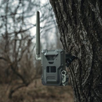 Unauffällig montierte Spypoint FLEX-M2 Wildkamera mit Befestigungsgurt an einer Eiche im Revier.