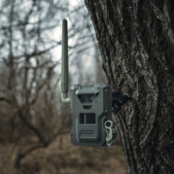 Unauffällig montierte Spypoint FLEX-M2 Wildkamera mit Befestigungsgurt an einer Eiche im Revier.