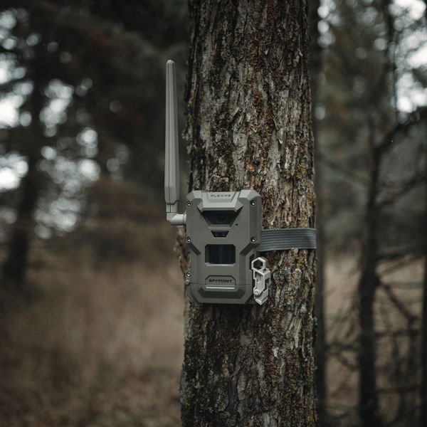 Unauffällig montierte Spypoint FLEX-M2 Wildkamera mit Befestigungsgurt an einer Eiche im Revier.
